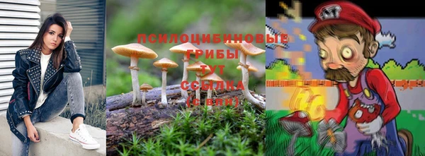 apvp Беломорск