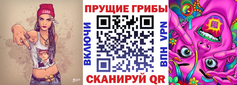 дарнет шоп  Мариинский Посад  Псилоцибиновые грибы Psilocybine cubensis 